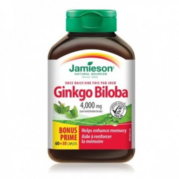 Ginkgo Biloba 80 mg 90...
