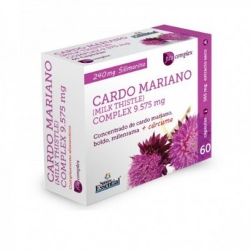 Cardo Mariano Complex  9575...