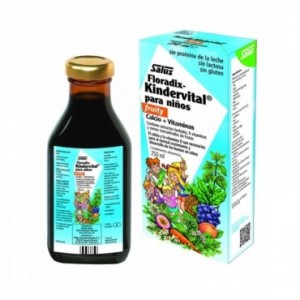 Floradix Kindervital 250 ml...