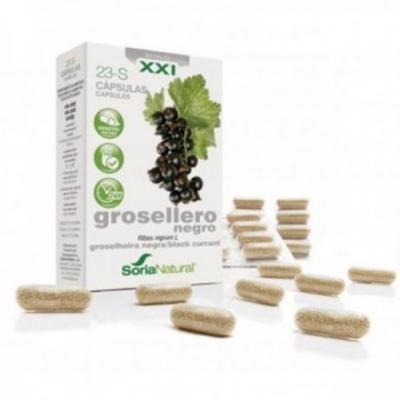 Grosellero Negro 23-S 690...